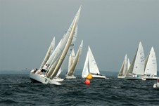 J/80 Sailboats